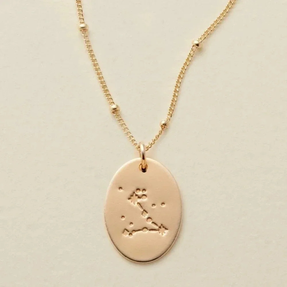 Pisces Zodiac Minimalist Charm Oval Disc Necklace